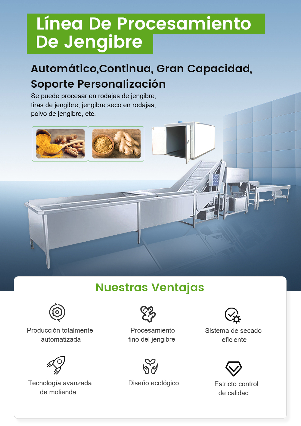 Línea De Procesamiento De Jengibre -  - 1