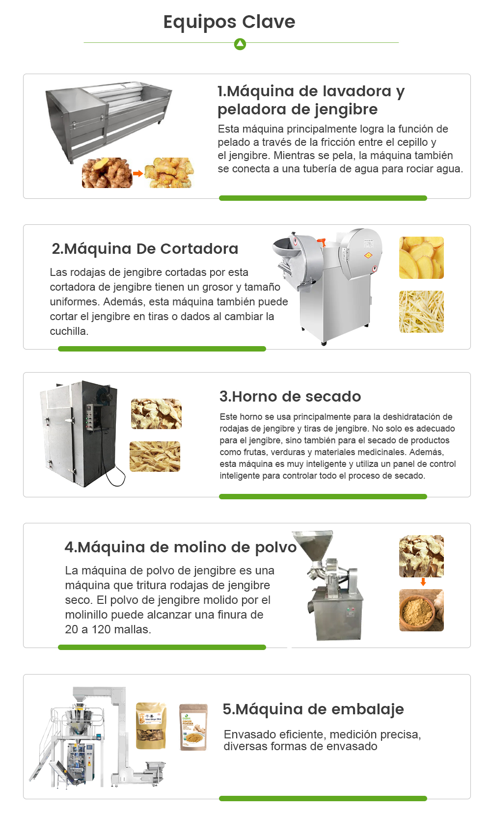 Línea De Procesamiento De Jengibre -  - 5
