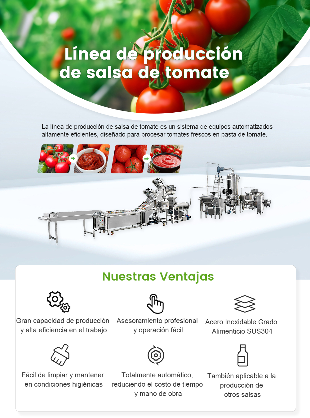 Línea De Producción De Salsa De Tomate -  - 1