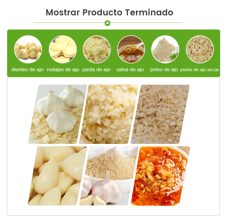 Línea De Procesamiento De Ajo -  - 5