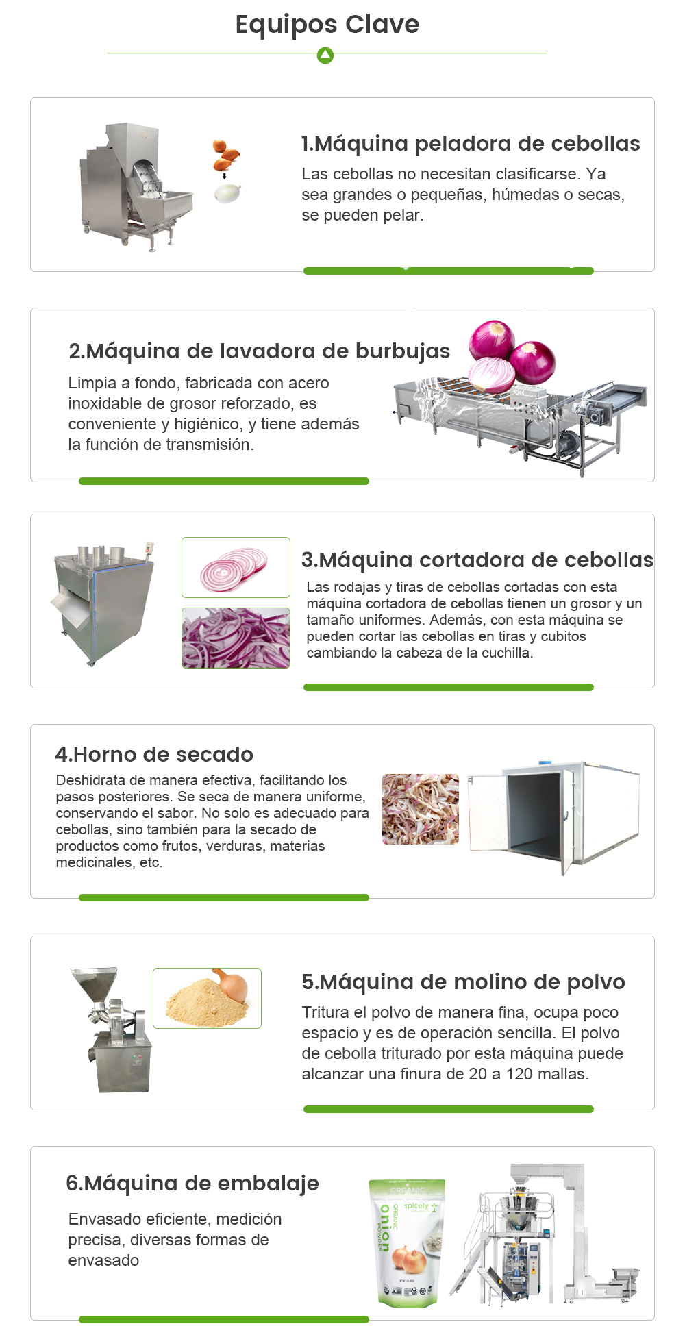 Línea De Procesamiento De Cebollas -  - 5