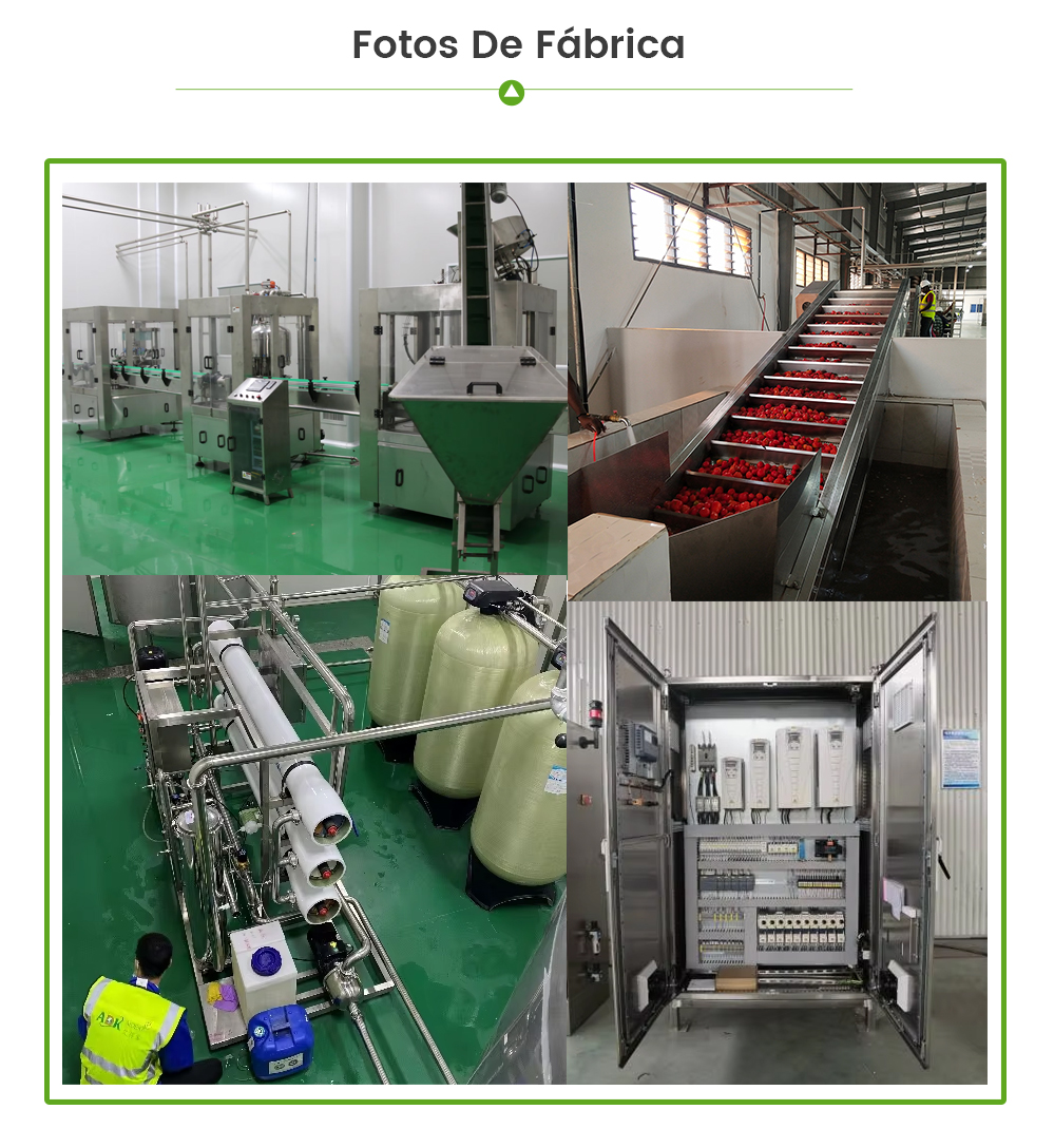 Línea De Producción De Mermelada -  - 7