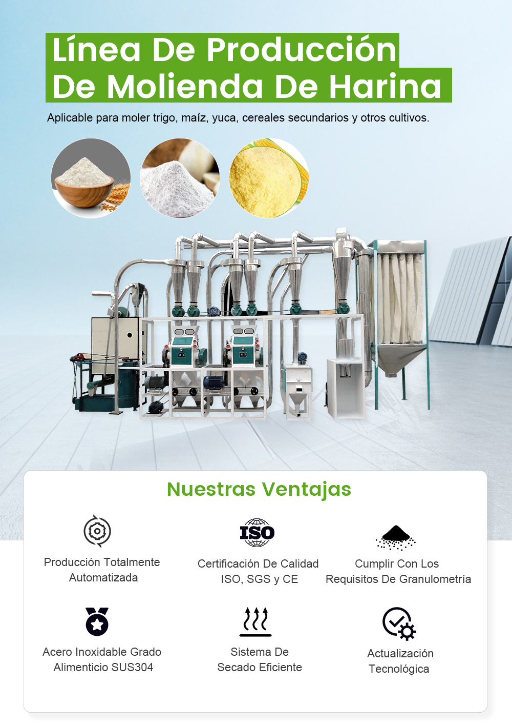 Línea De Producción De Molienda De Harina -  - 1