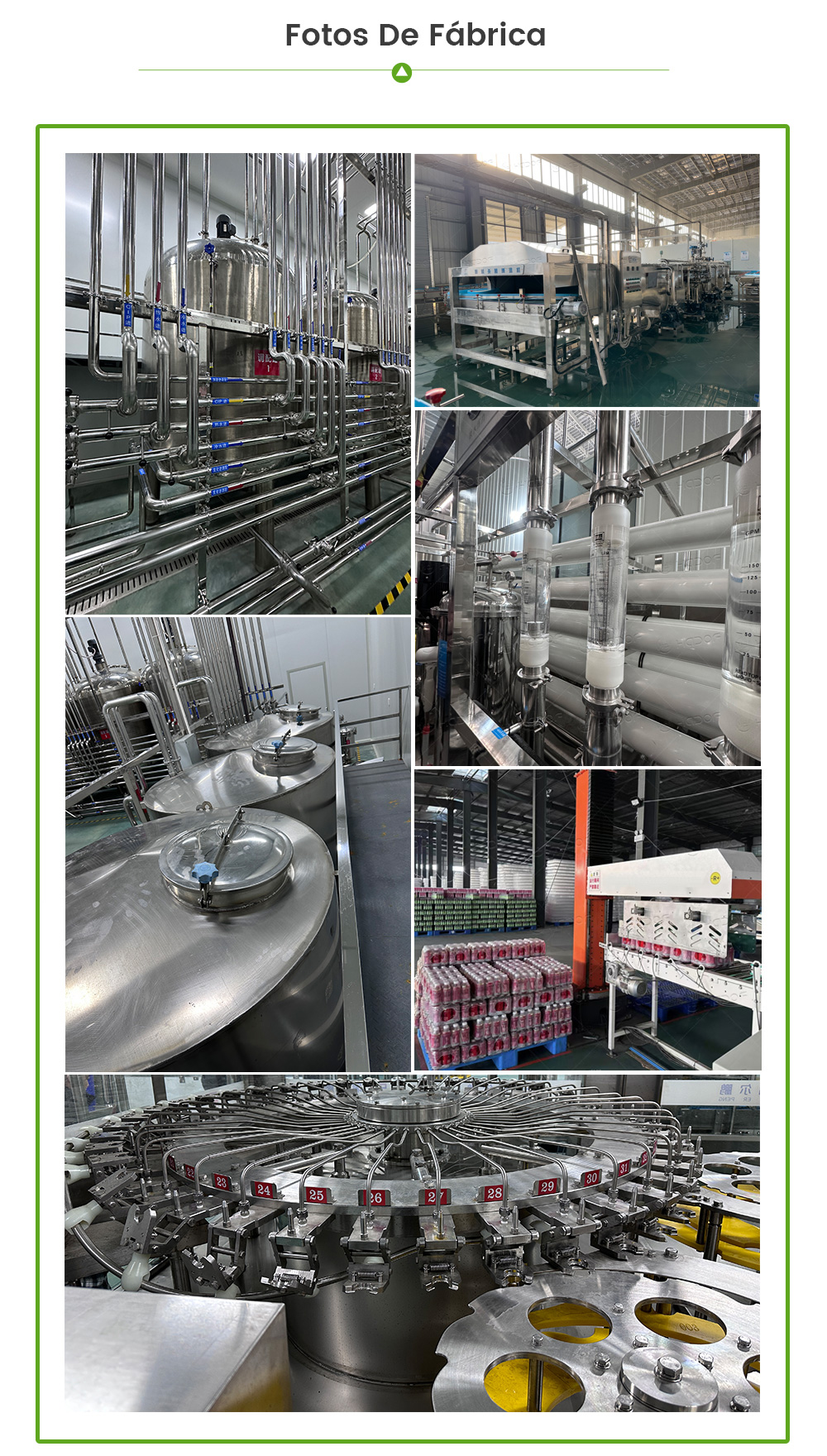 Línea De Producción De Bebidas -  - 8