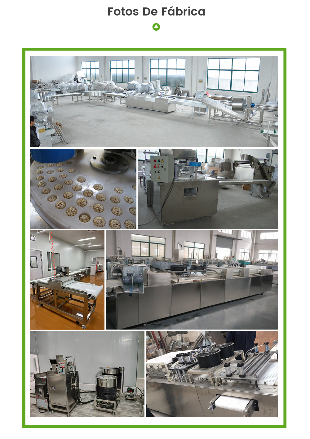 Línea De Producción De Barritas De Cereales -  - 8